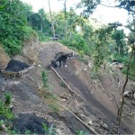 Coal deposit at Khar-Mangkolemba, Mokokchung Dist.