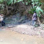 Coal seam at Merakeyong, Mokokchung Dist.