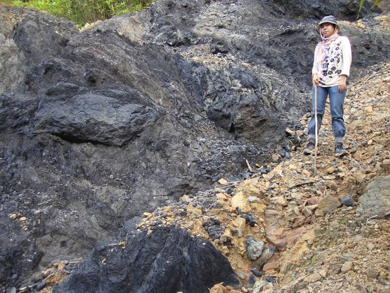 Thick Coal seam at Mongchen